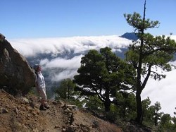 Wanderungen auf La Palma bieten ein besonderes Erlebnis